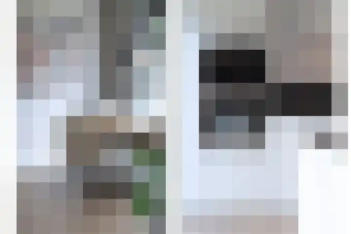 Daan van Dijkhof 14 Tilburg thumbnail 10