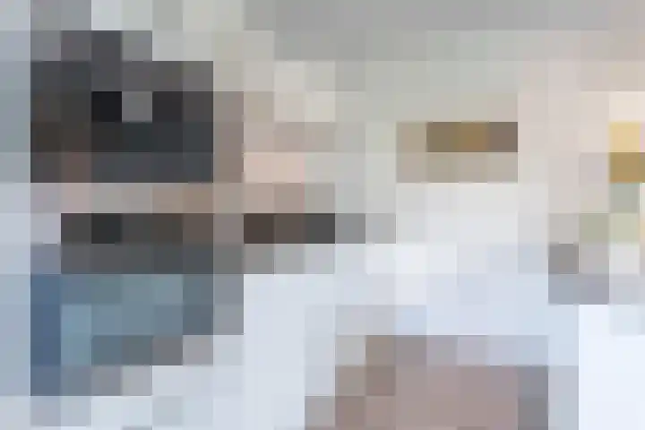 Daan van Dijkhof 14 Tilburg thumbnail 13