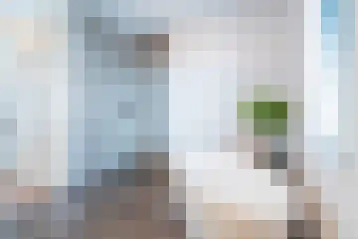 Daan van Dijkhof 14 Tilburg thumbnail 26