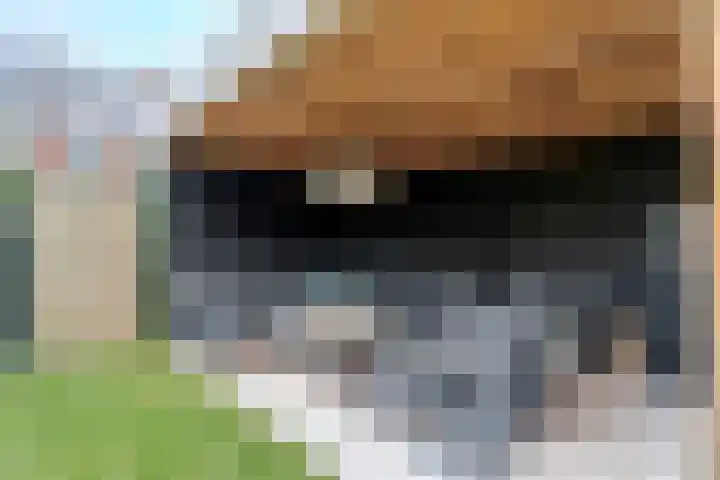 Daan van Dijkhof 14 Tilburg thumbnail 34