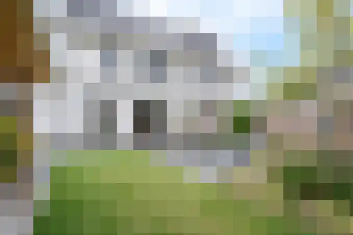 Daan van Dijkhof 14 Tilburg thumbnail 35