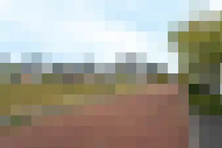 Daan van Dijkhof 14 Tilburg thumbnail 40