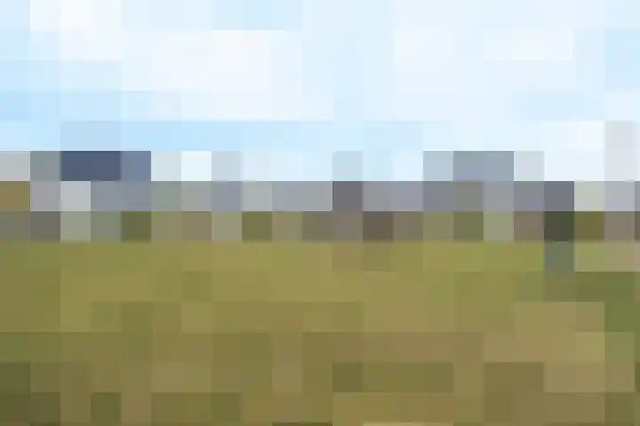 Daan van Dijkhof 14 Tilburg thumbnail 41