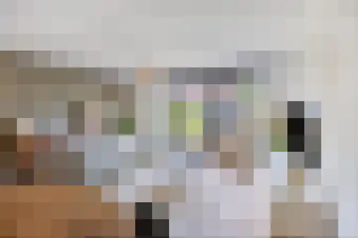 Daan van Dijkhof 20 Tilburg thumbnail 11