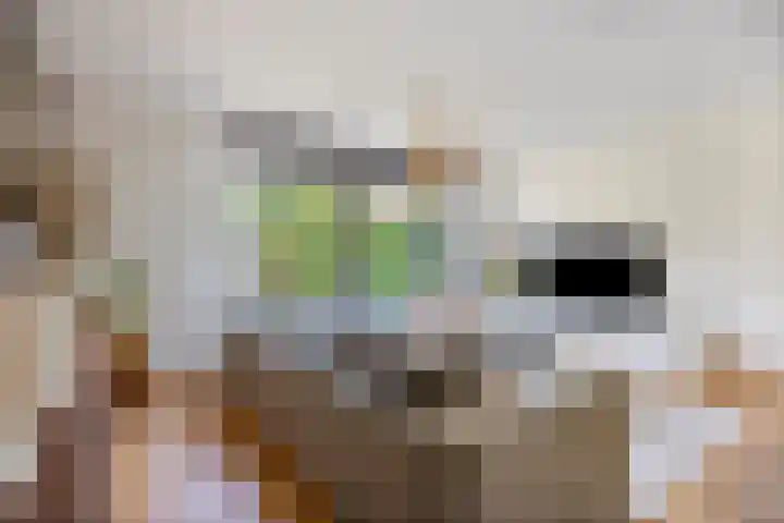 Daan van Dijkhof 20 Tilburg thumbnail 12