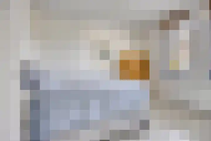 Daan van Dijkhof 20 Tilburg thumbnail 28