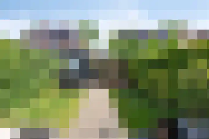 Daan van Dijkhof 20 Tilburg thumbnail 33