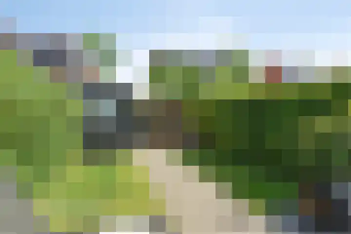 Daan van Dijkhof 20 Tilburg thumbnail 34