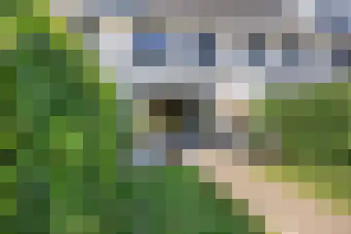 Daan van Dijkhof 20 Tilburg thumbnail 39