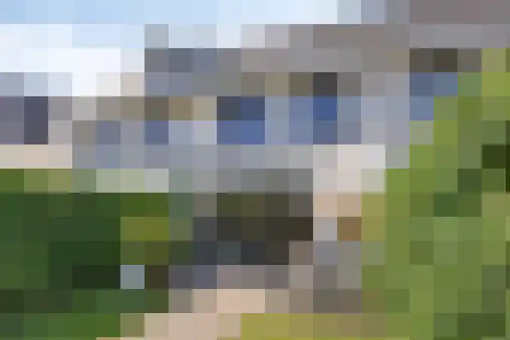 Daan van Dijkhof 20 Tilburg thumbnail 42