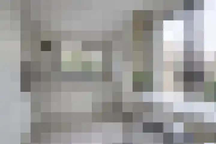 Foto van Daan Verver