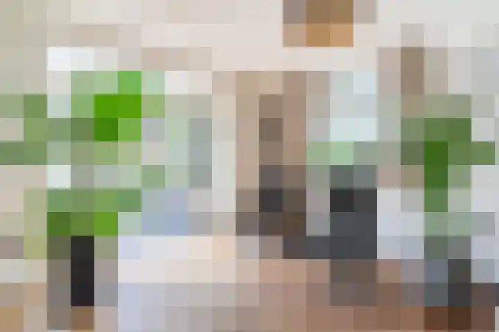 Daandelendennen 16 Venhorst thumbnail 10