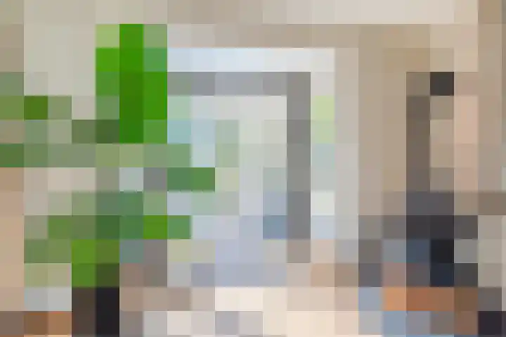 Daandelendennen 16 Venhorst thumbnail 11