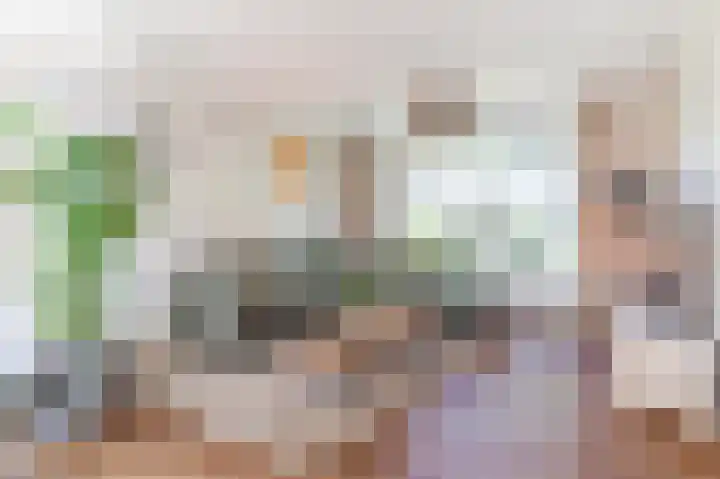Daandelendennen 16 Venhorst thumbnail 4