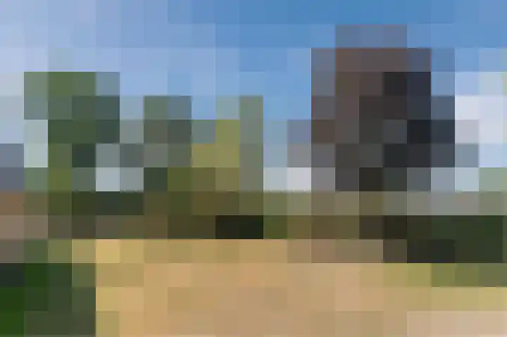 Daandelendennen 16 Venhorst thumbnail 43