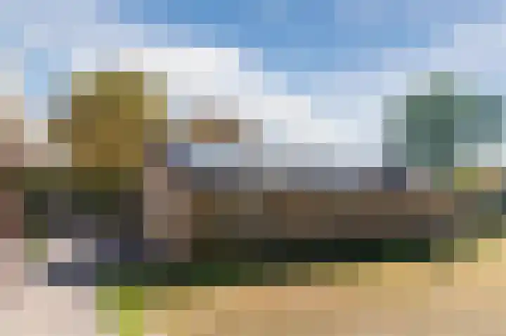Daandelendennen 16 Venhorst thumbnail 46