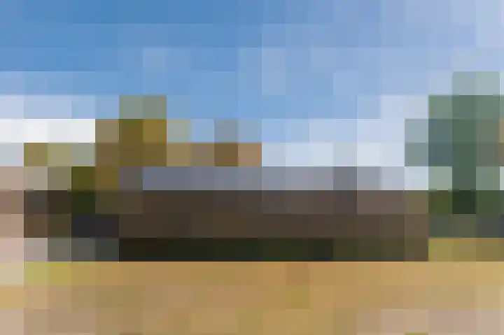 Daandelendennen 16 Venhorst thumbnail 47