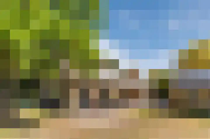 Daandelendennen 16 Venhorst thumbnail 48