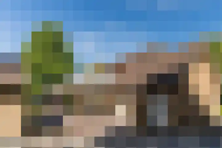 Daandelendennen 16 Venhorst thumbnail 51