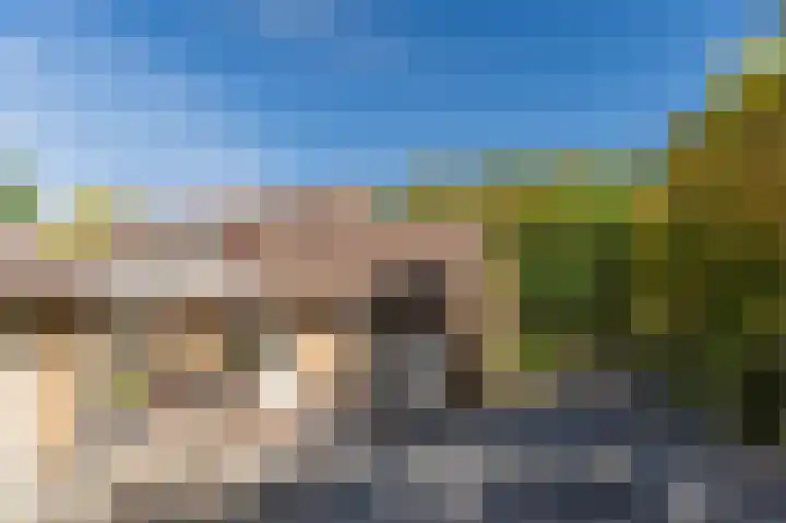 Daandelendennen 16 Venhorst thumbnail 52