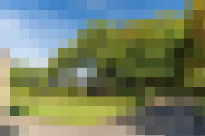 Daandelendennen 16 Venhorst thumbnail 53