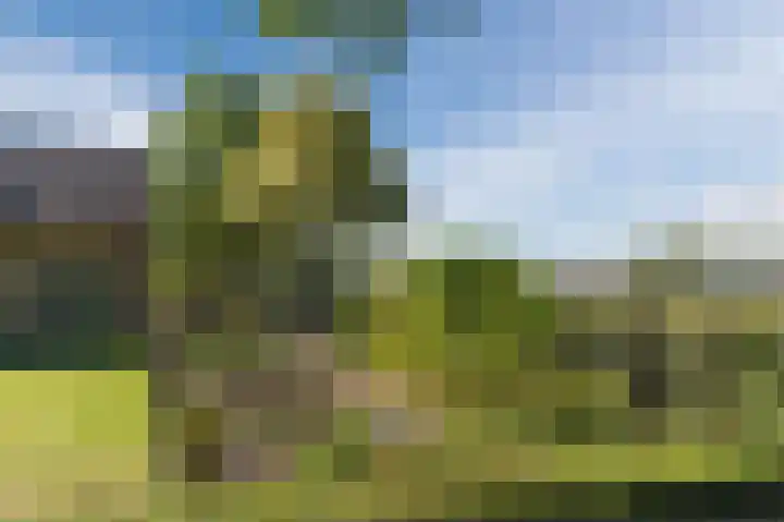 Daandelendennen 16 Venhorst thumbnail 54