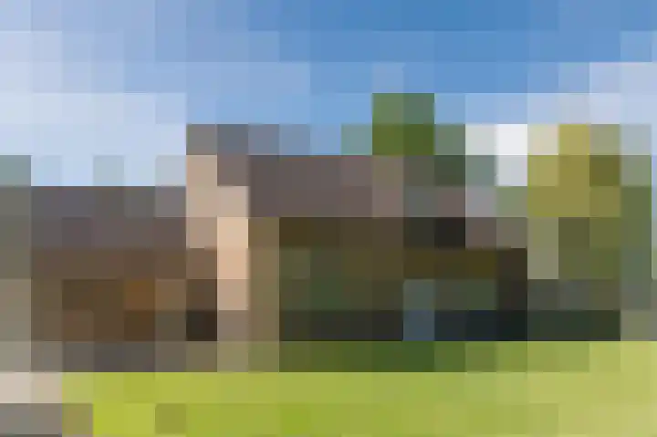 Daandelendennen 16 Venhorst thumbnail 58