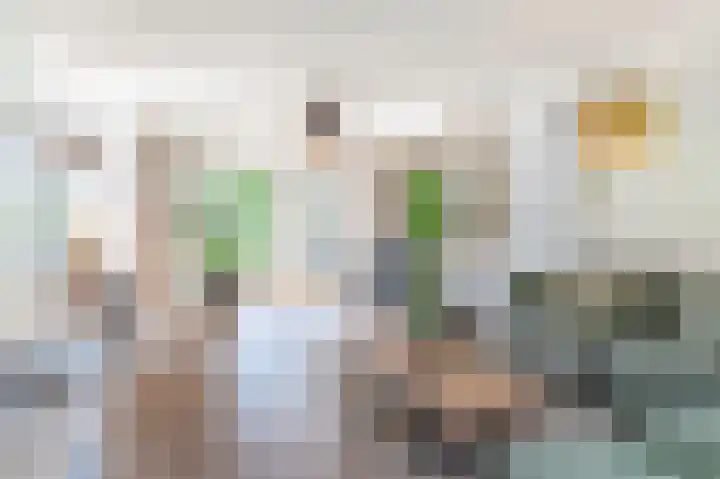Daandelendennen 16 Venhorst thumbnail 6