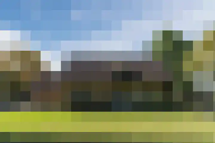 Daandelendennen 16 Venhorst thumbnail 59