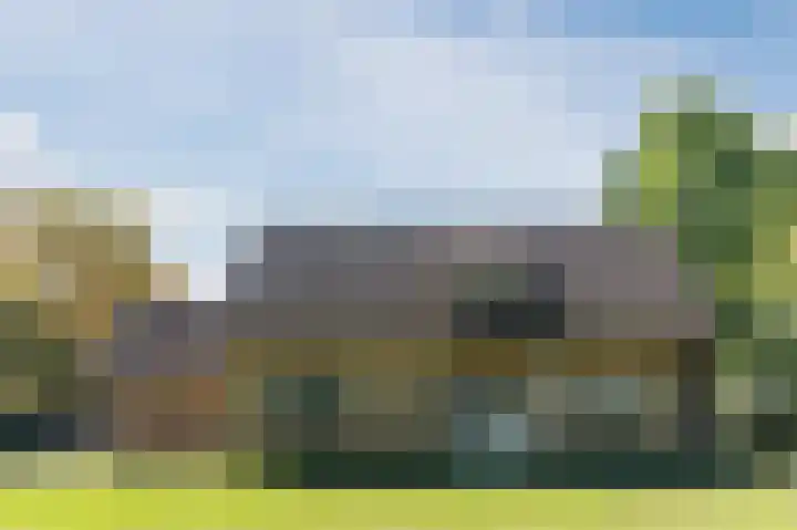 Daandelendennen 16 Venhorst thumbnail 60