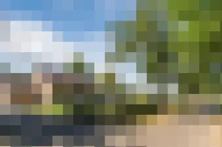 Daandelendennen 16 Venhorst thumbnail 61