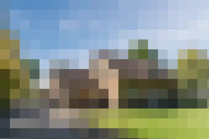 Daandelendennen 16 Venhorst thumbnail 62