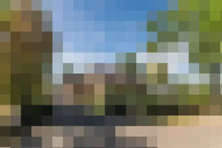 Daandelendennen 16 Venhorst thumbnail 64