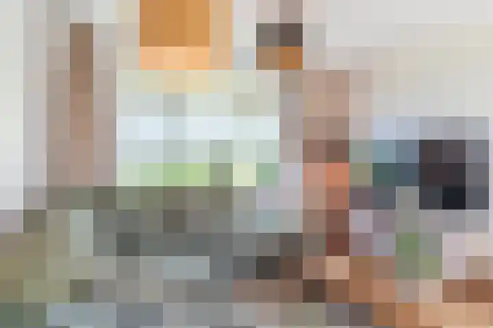 Daandelendennen 16 Venhorst thumbnail 7