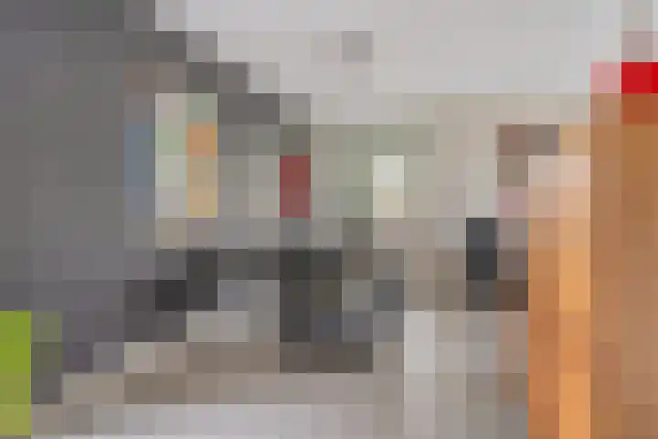 Daansbergen 8 Halsteren thumbnail 10