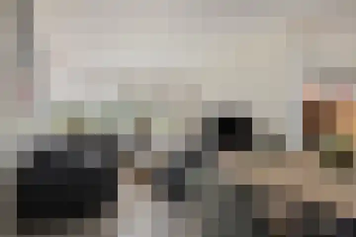 Daansbergen 8 Halsteren thumbnail 14