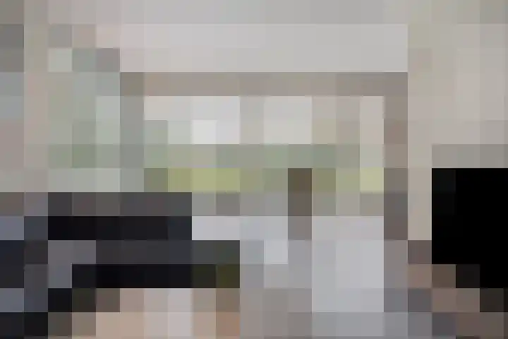 Daansbergen 8 Halsteren thumbnail 17
