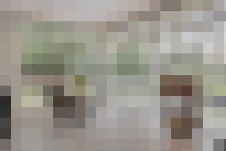 Daansbergen 8 Halsteren thumbnail 19