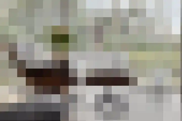 Daansbergen 8 Halsteren thumbnail 20