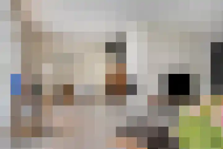Daansbergen 8 Halsteren thumbnail 21