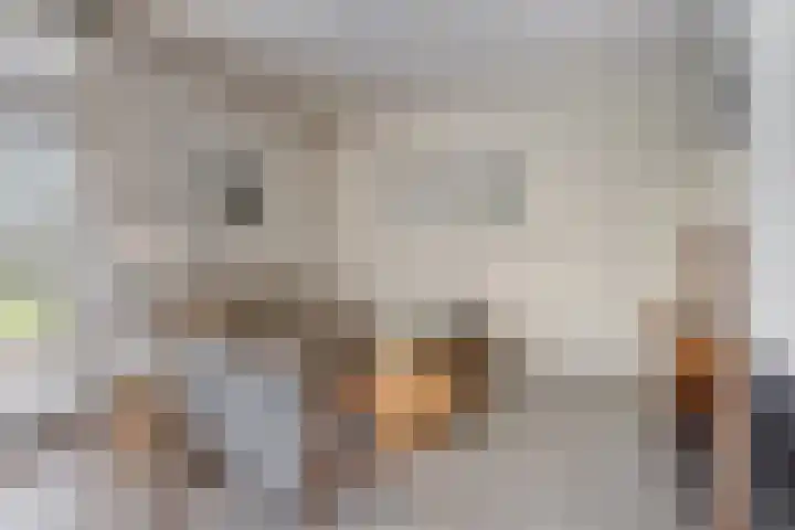 Daansbergen 8 Halsteren thumbnail 23