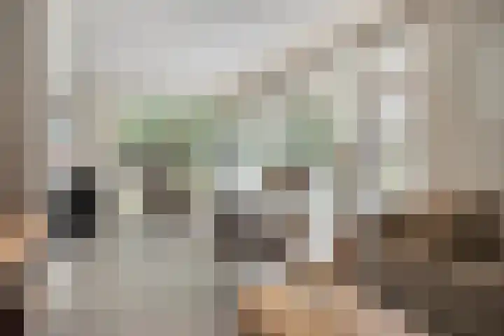 Daansbergen 8 Halsteren thumbnail 24