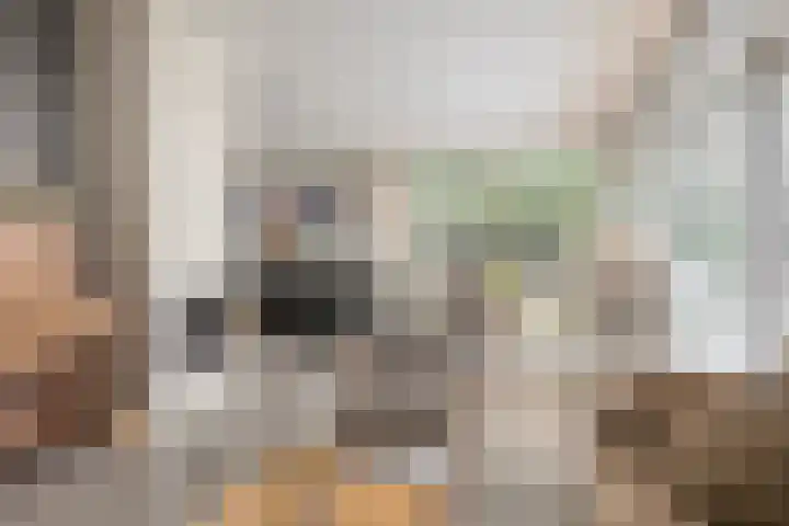 Daansbergen 8 Halsteren thumbnail 25