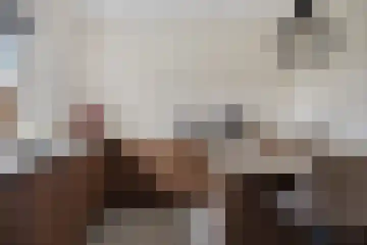 Daansbergen 8 Halsteren thumbnail 28