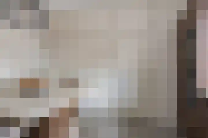 Daansbergen 8 Halsteren thumbnail 29