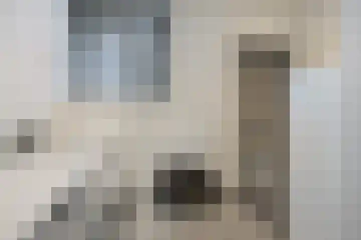 Daansbergen 8 Halsteren thumbnail 33