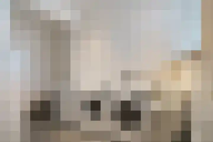Daansbergen 8 Halsteren thumbnail 34
