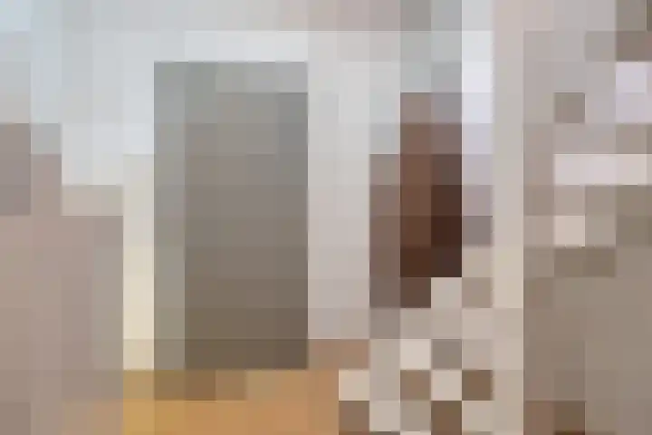Daansbergen 8 Halsteren thumbnail 38