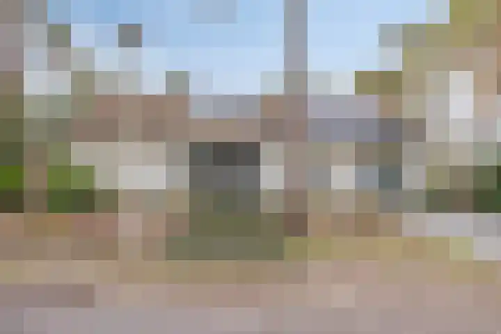 Daansbergen 8 Halsteren thumbnail 4