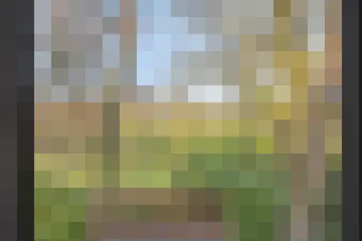 Daansbergen 8 Halsteren thumbnail 48